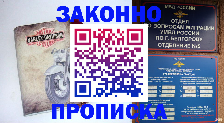 прописка для школы в Наволоках